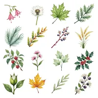 Quebec Floral Garden Clipart PNG - Extended License – Image 3