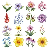 Quebec Floral Garden Clipart PNG - Extended License – Image 2
