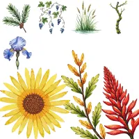 Quebec Floral Garden Clipart PNG - Extended License – Image 4