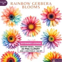 Rainbow Gerbera Flower Clipart PNG - Extended License – Image 1