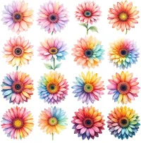Rainbow Gerbera Flower Clipart PNG - Extended License – Image 2