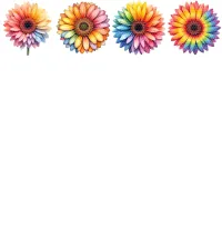 Rainbow Gerbera Flower Clipart PNG - Extended License – Image 3