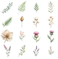 Duck Meadow Nature Clipart PNG - Extended License – Image 2