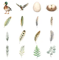 Duck Meadow Nature Clipart PNG - Extended License – Image 3