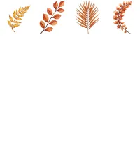 Saffron Floral Blooms Clipart PNG - Personal Use License – Image 3