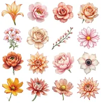 Peach Floral Bloom Clipart PNG - Extended License – Image 2