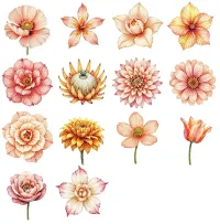Peach Floral Bloom Clipart PNG - Extended License – Image 3