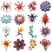 Colorful Tropical Floral Clipart PNG - Extended License – Image 2