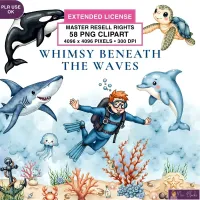 Ocean Adventure Clipart PNG - Extended License – Image 1