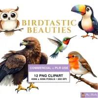 Realistic Bird Collection Clipart PNG - Commercial + PLR Use License – Image 1