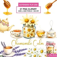 Herbal Tea Clipart PNG - Extended License – Image 1