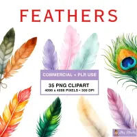 Colorful Feather Clipart PNG - Commercial + PLR Use License – Image 1