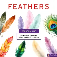 Colorful Feather Clipart PNG - Personal Use License – Image 1