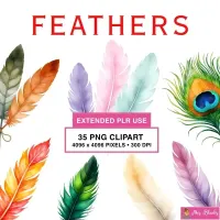 Colorful Feather Clipart PNG - Extended License – Image 1