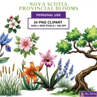 Canadian Wildflower Clipart PNG - Personal Use License – Image 1