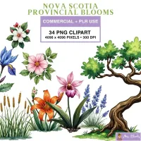 Canadian Wildflower Clipart PNG - Commercial + PLR Use License – Image 1