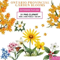 Autumn Garden Floral Clipart PNG - Extended License – Image 1