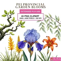 PEI Floral Garden Clipart PNG - Extended License – Image 1