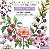 Quebec Floral Garden Clipart PNG - Commercial + PLR Use License – Image 1