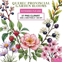 Quebec Floral Garden Clipart PNG - Extended License – Image 1