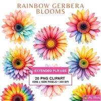 Rainbow Gerbera Flower Clipart PNG - Extended License – Image 1