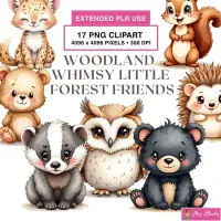 Forest Animal Clipart PNG - Extended License – Image 1