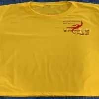 Gym T-Shirts  – Image 1
