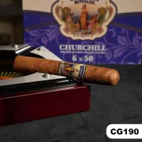 (CG190) كاريبيان رويالز - تشرشل – طبيعي, متوسطة (Medium), الولايات المتحدة الأمريكية 🇺🇸