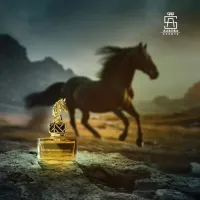 (PR006) - عطر أرض اللامكان (IN THE NOWHERE LAND) أورورا – Image 3