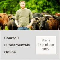 Course 1 Online 731-IE – Image 1
