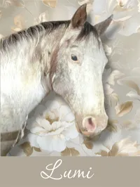  Lumi: 1993 Gray pony. – Image 1