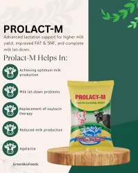 Prolact-M – Image 1