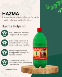 Hazma – Image 1