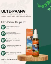 ULTE PAANV – Image 1