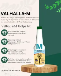 VALHALLA M – Image 1