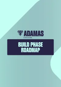The Build Phase Roadmap – Image 1