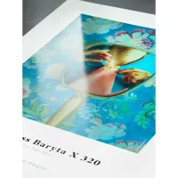 Hahnemuhle Photo Gloss Baryta X 320 gsm – Image 2