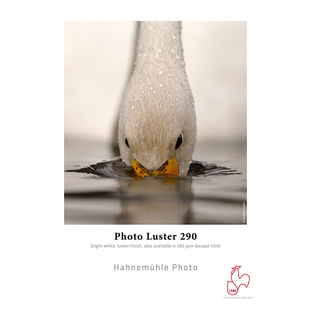 Hahnemuhle Photo Luster 290gsm – Image 1