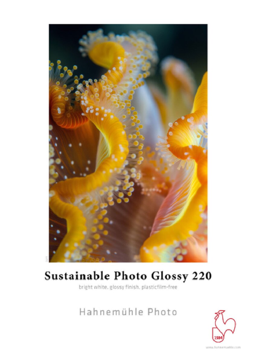 Hahnemuhle Sustainable Photo Glossy 220 gsm – Image 1