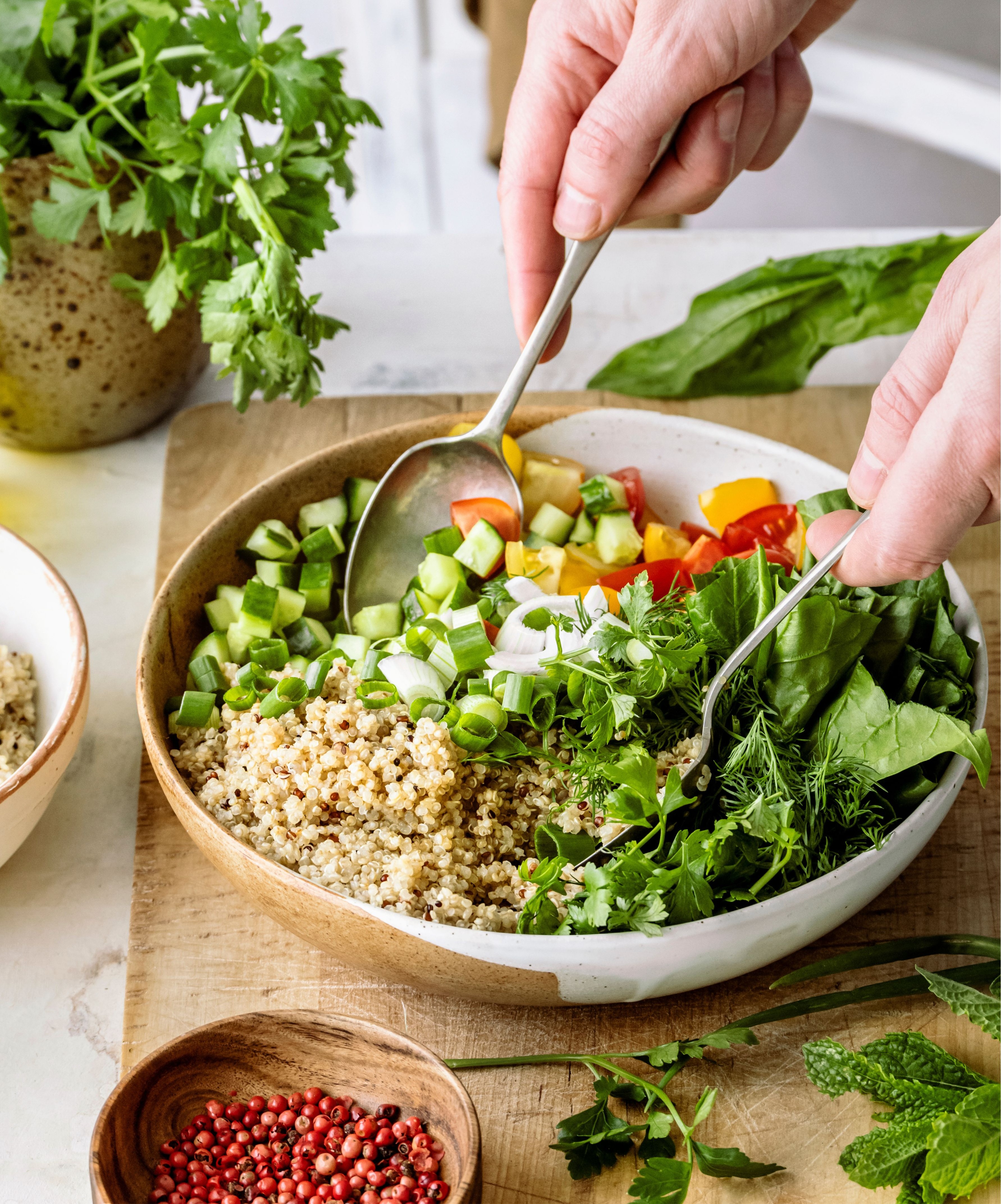 The Modern Vegan Membership – Bild 3