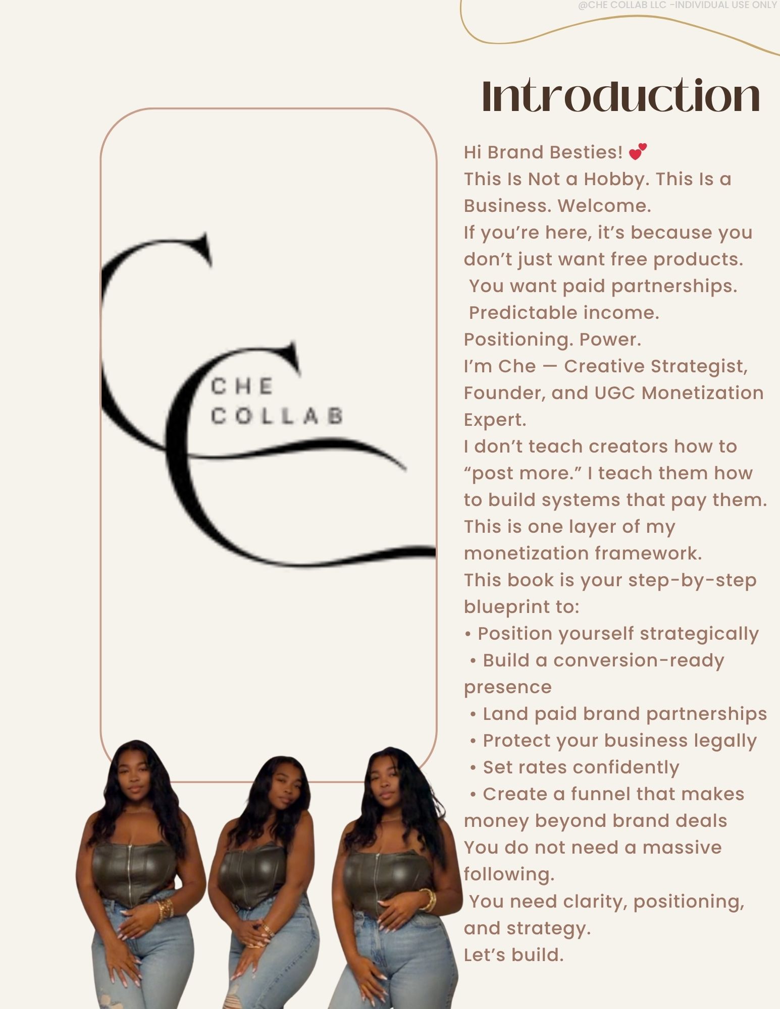 Monetization Blueprint + Rate Calculator – Image 4