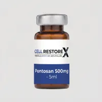 Pentosan 500mg - 5ml – Image 1