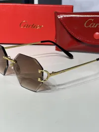 Cartier Santos  – Image 4