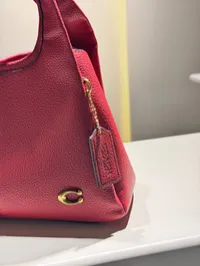 Coach Lana bag Super Master (Red) – Image 2