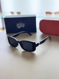 Hermes Sunglasses – Image 6