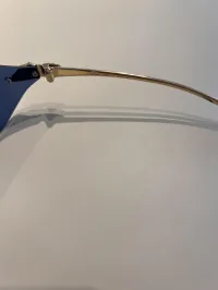 Cartier Panther Blue Sunglasses – Image 6