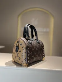 Louis Vuitton Speedy Trunk 20  – Image 2