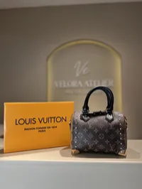 Louis Vuitton Speedy Trunk 20  – Image 1