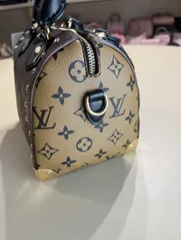 Louis Vuitton Speedy Trunk 20  – Image 8
