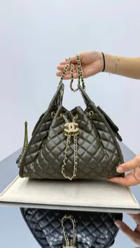Chanel 25 Hobo Bag Multicolor – Image 4